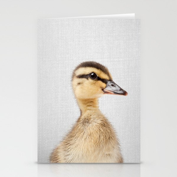 Duckling - Colorful Stationery Cards