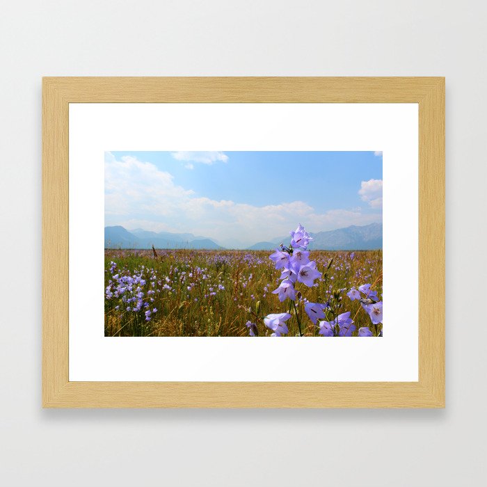 Among The Wildflowers Framed Art Print