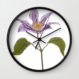 Clematis buttercup family Ranunculaceae garden hybrids jackmanii flowers Wall Clock