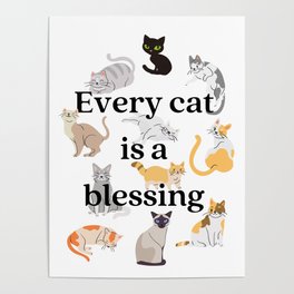 Every Cat is a Blessing - for cat and kitten lovers Poster