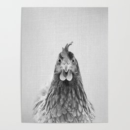 Chicken - Black & White Poster