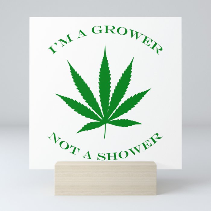 Marijuana Dispensary Legal Weed Mini Art Print