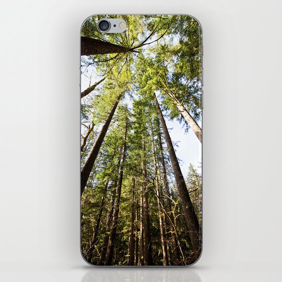 canopy iPhone Skin