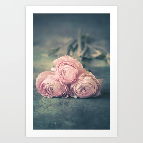 Lovely Ranunculus Art Print