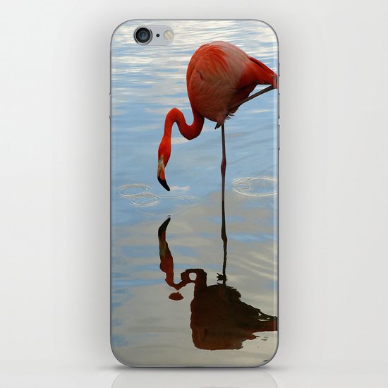 Pink Flamingo iPhone & iPod Skin