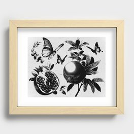 Pomegranate & Butterflies  Recessed Framed Print