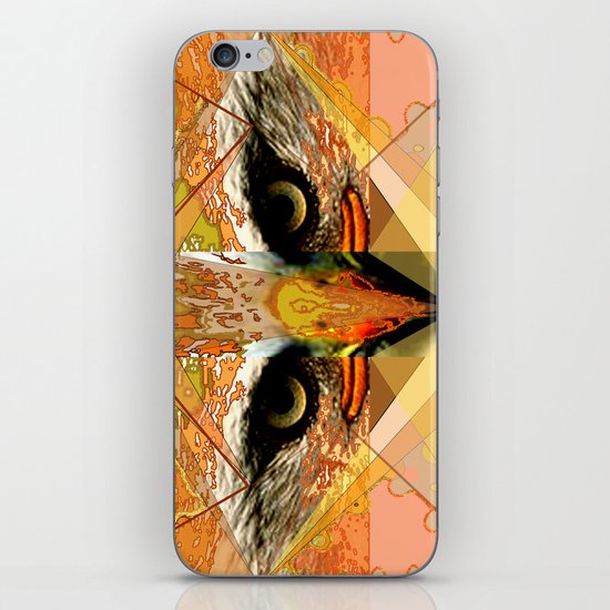 Eagle Eyes iPhone & iPod Skin