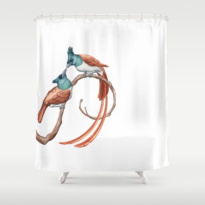 Indian Paradise Flycatcher (Terpsiphone paradisi) Shower Curtain