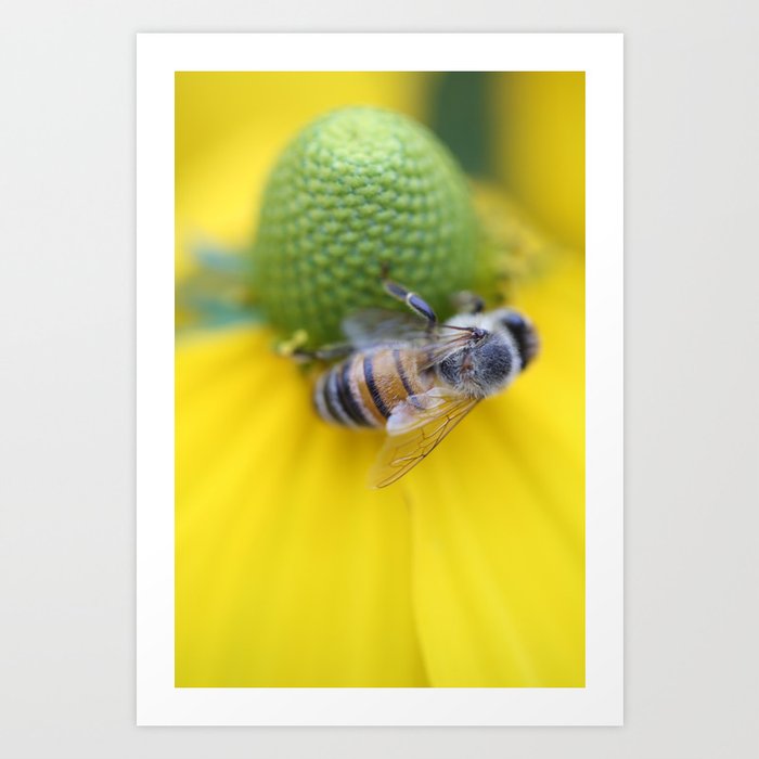 Honeybee on Yellow Art Print