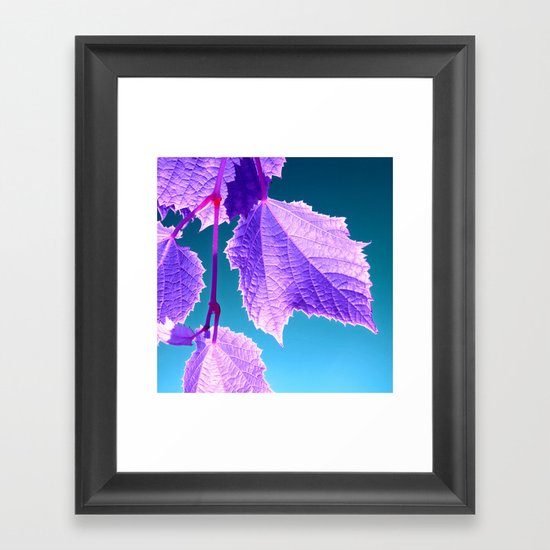 purple wine leaf Framed Art Print