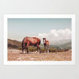 Wild Horses - Horse Photography - Mountains Wanderlust Travel photography by Ingrid Beddoes  Art Print