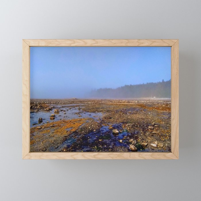 South Denman beach fog Framed Mini Art Print