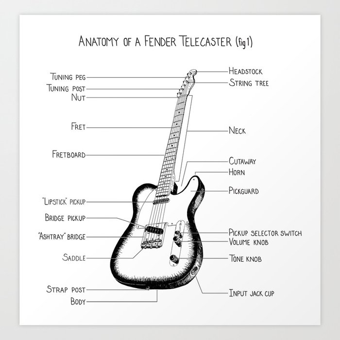 Telecaster anatomy new arrivals