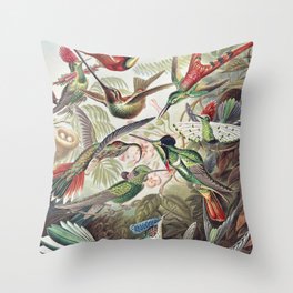 Vintage Hummingbird Print Throw Pillow