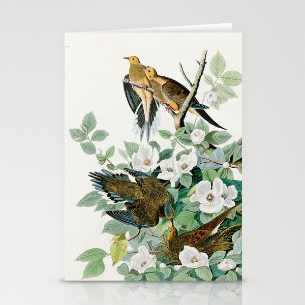 Carolina Turtle Dove, Birds of America by John James Audubon Stationery Cards