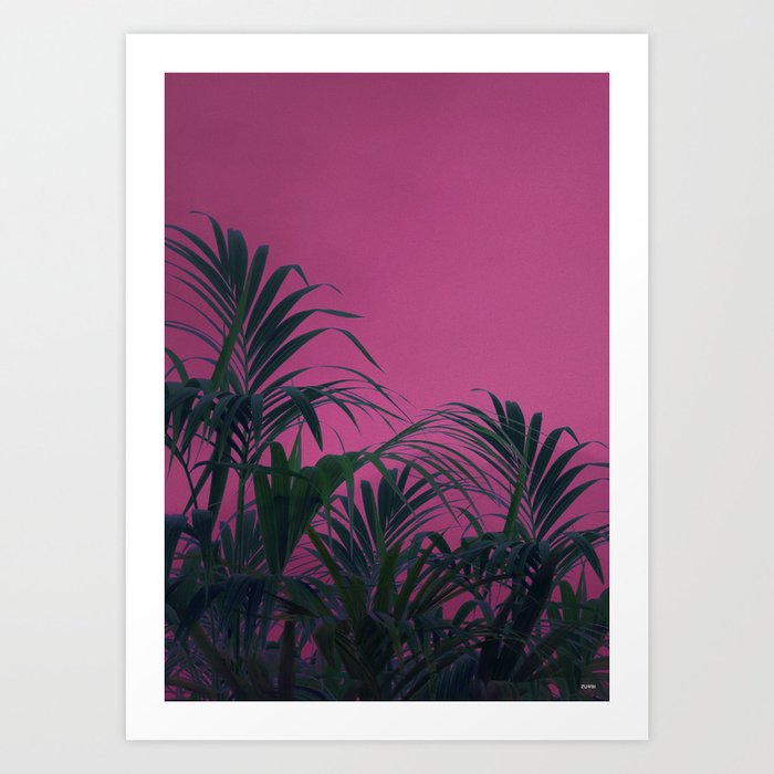 Pink Sunset Palm Art Print