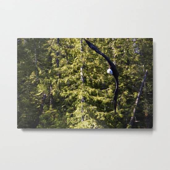 Eagle: Made to Fly Metal Print