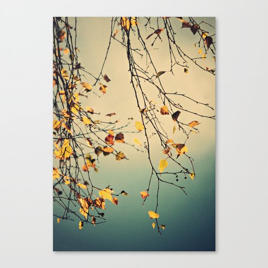 A poem from nature Canvas Print