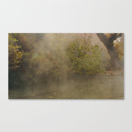 morning fog Canvas Print