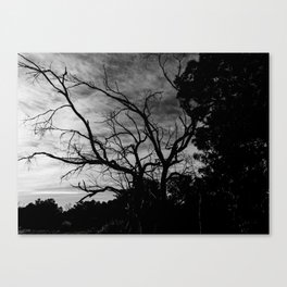 Noir Tree  Canvas Print