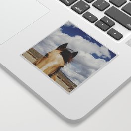 Cloudy Horse Head Sticker