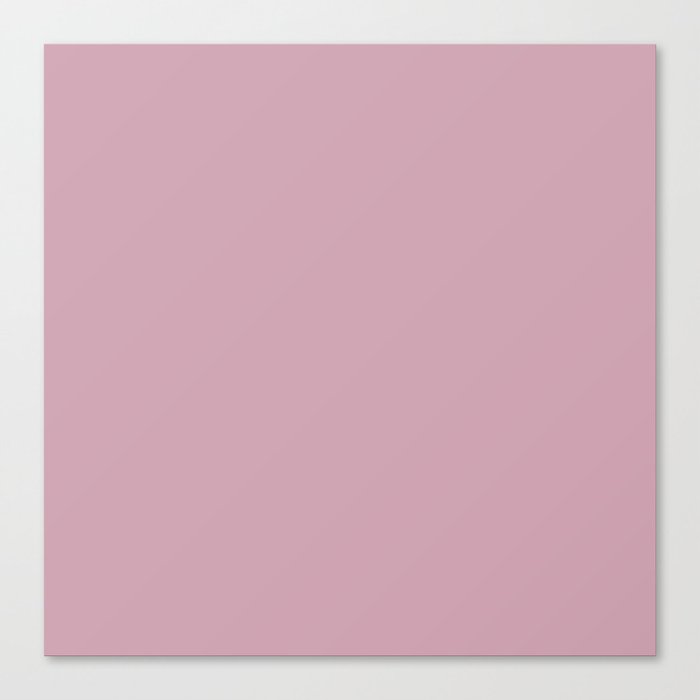 Pale Pink Flower Canvas Print