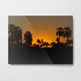 Palmar Metal Print | Digital, Natural, Nature, Argentina, Entrerios, Sunset, Palmtree, Palmar, Photo, Landscape 