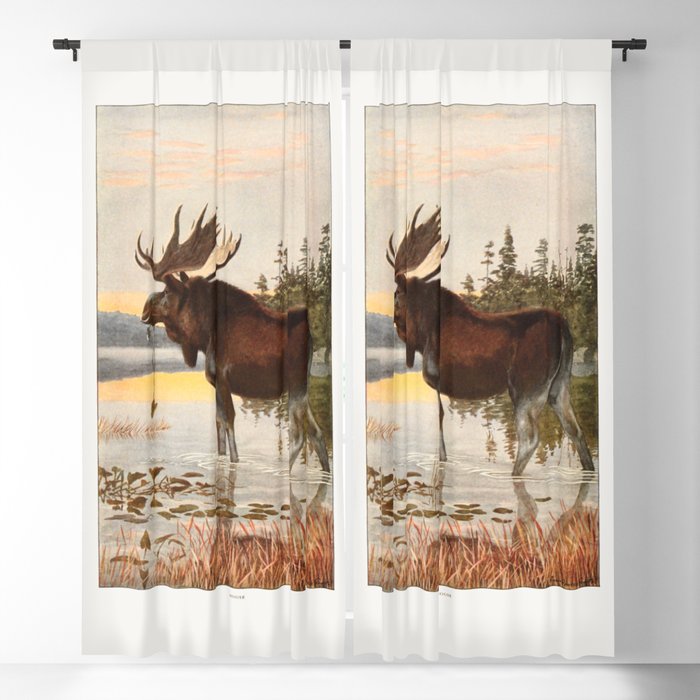 Blackout Curtain