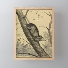 Opossum Engraving Framed Mini Art Print