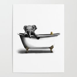 Elephant in Bath Poster