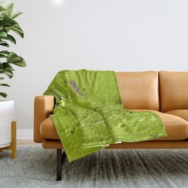 Green, yellow painted wall Throw Blanket
