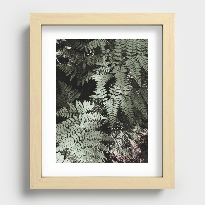 Northern Cascade Ferns Recessed Framed Print