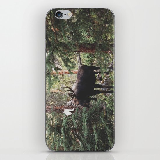 The Modest Moose iPhone & iPod Skin