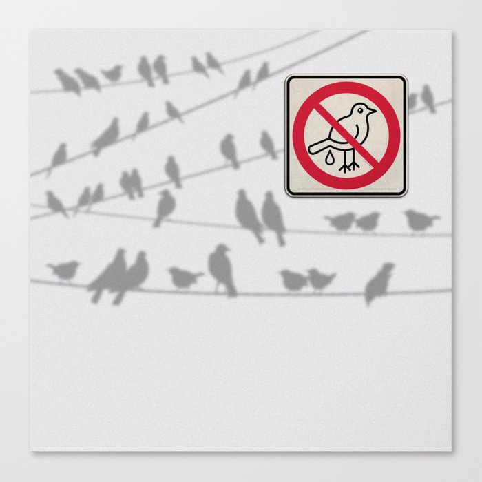 Birds Sign - NO droppings 4 Canvas Print