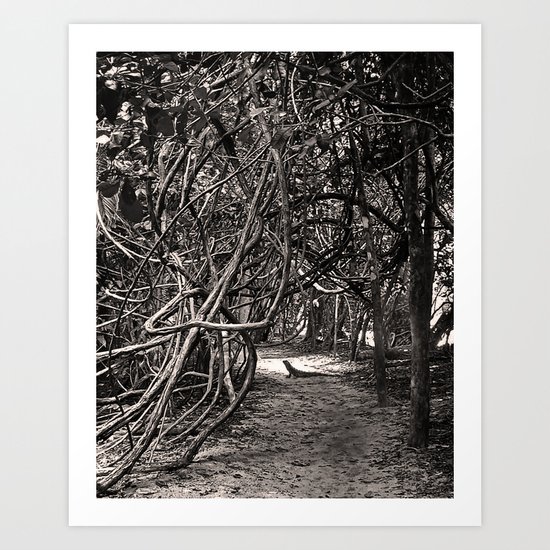 Iguana Go This Way Art Print