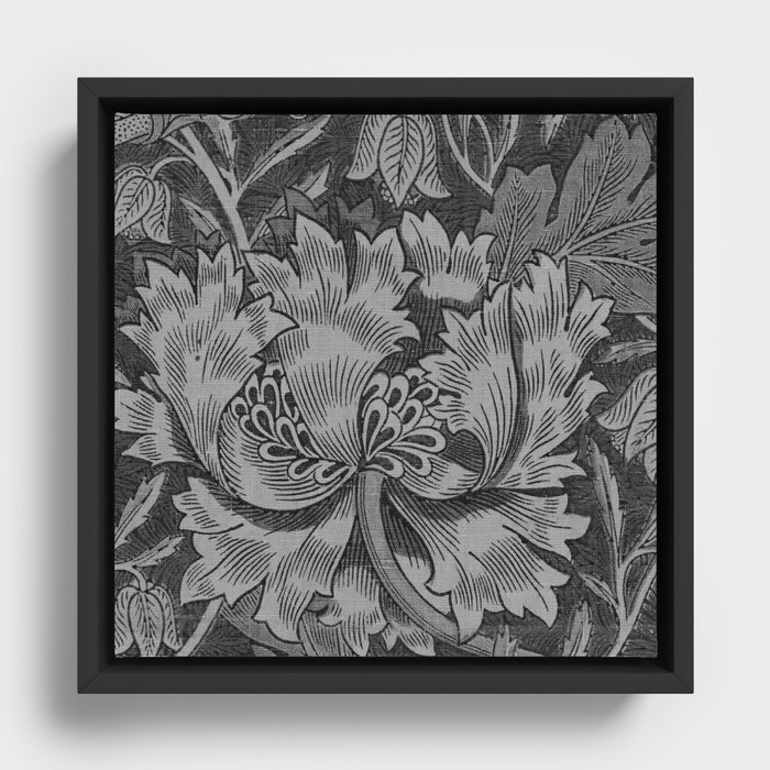 Framed Canvas