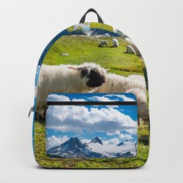 Valais Blacknose Sheep On Nufenenpass Alps Backpack