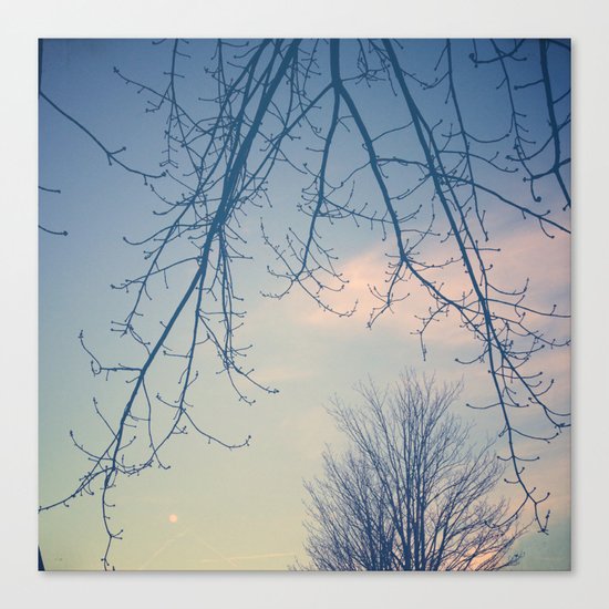 Blue Moon Canvas Print
