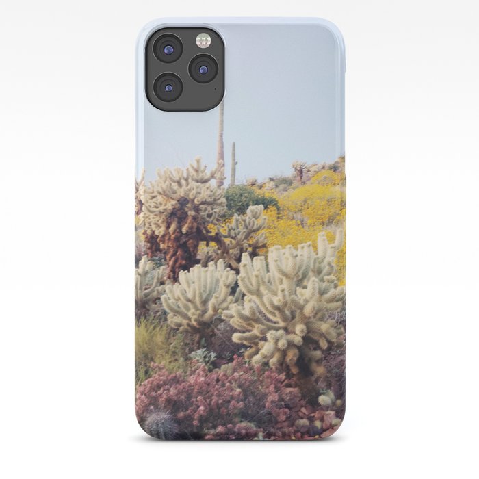 Arizona Color iPhone Case