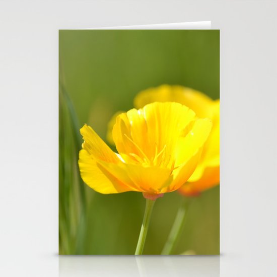 Poppies Stationery Cards