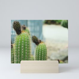 Cactus Mini Art Print