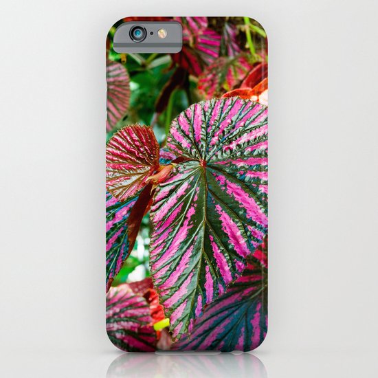 Begonia exotica iPhone & iPod Case