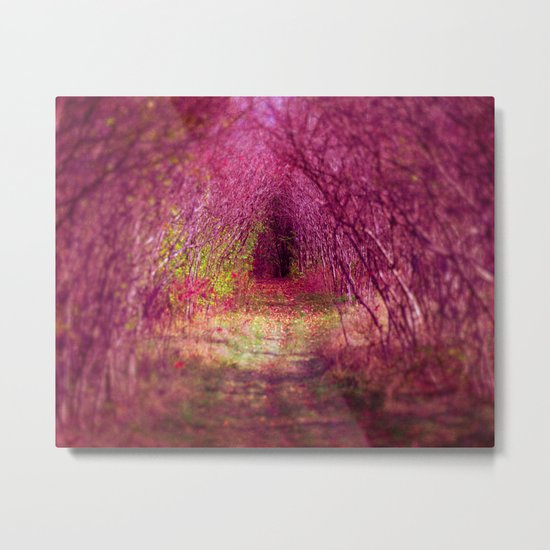Into the Pink Metal Print