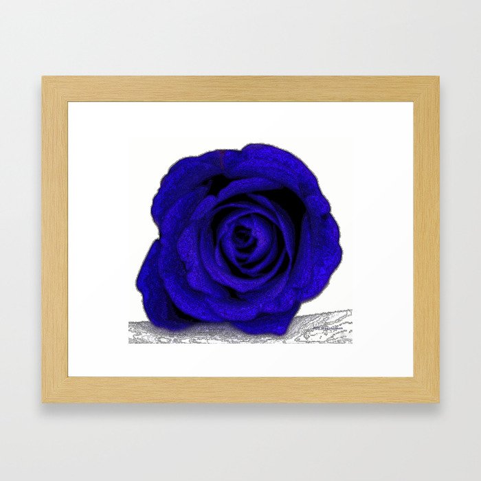 Blue Rose Poster Edges Framed Art Print