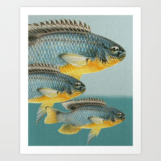 Fish Classic Designs 12 Art Print