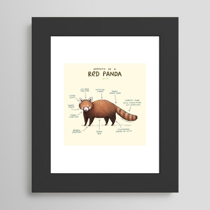 Framed Art Print
