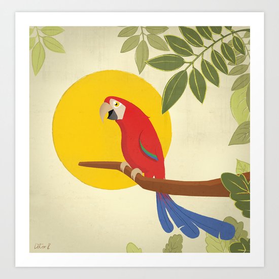Macaw Art Print