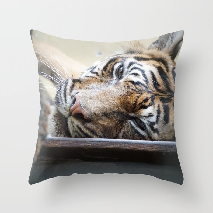 relaxed Tiger Throw Pillow