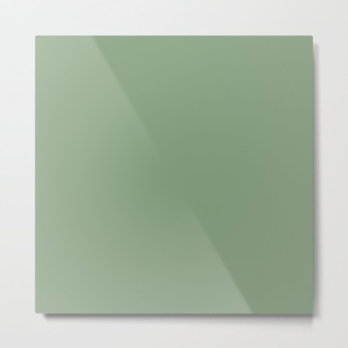 Sage Green- Solid Color Metal Print