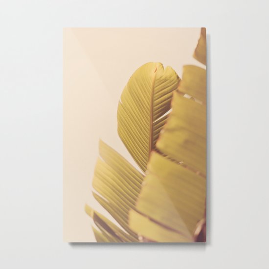 Palm Leaves Metal Print